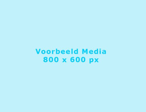 Voorbeeld bericht